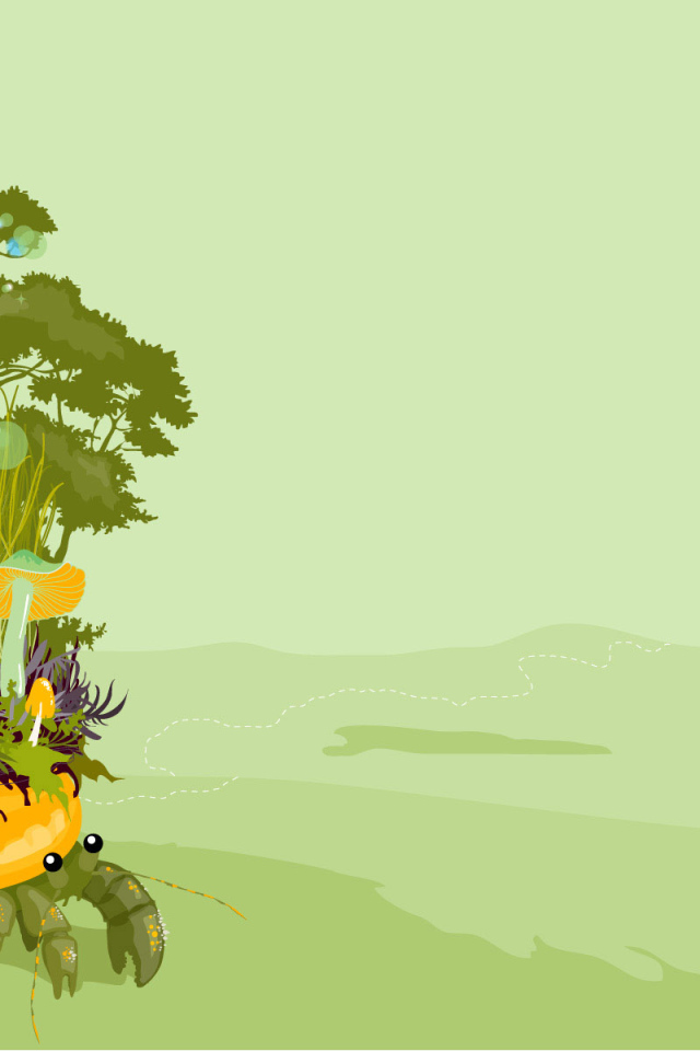 Грибы  на панцире