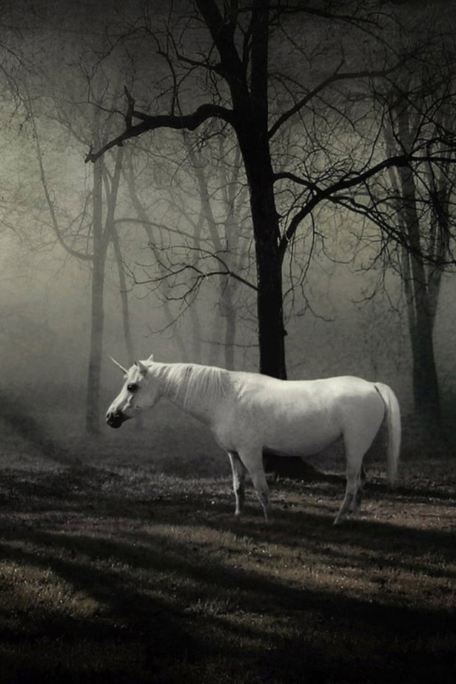 Сказочное животное