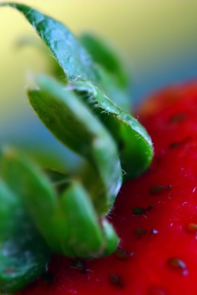 Вкусная клубника