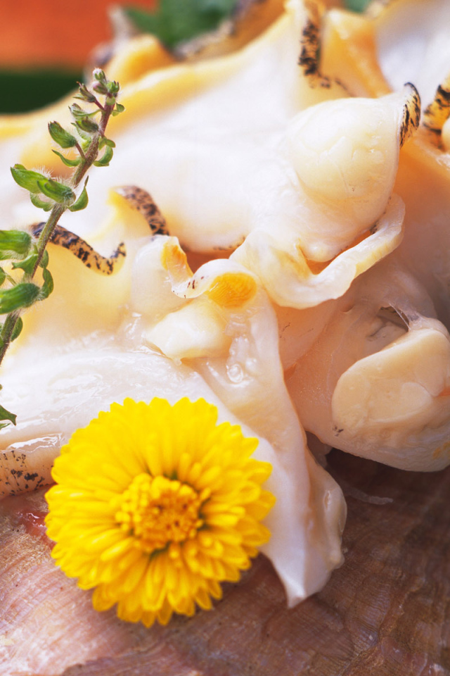 вкусный кальмар