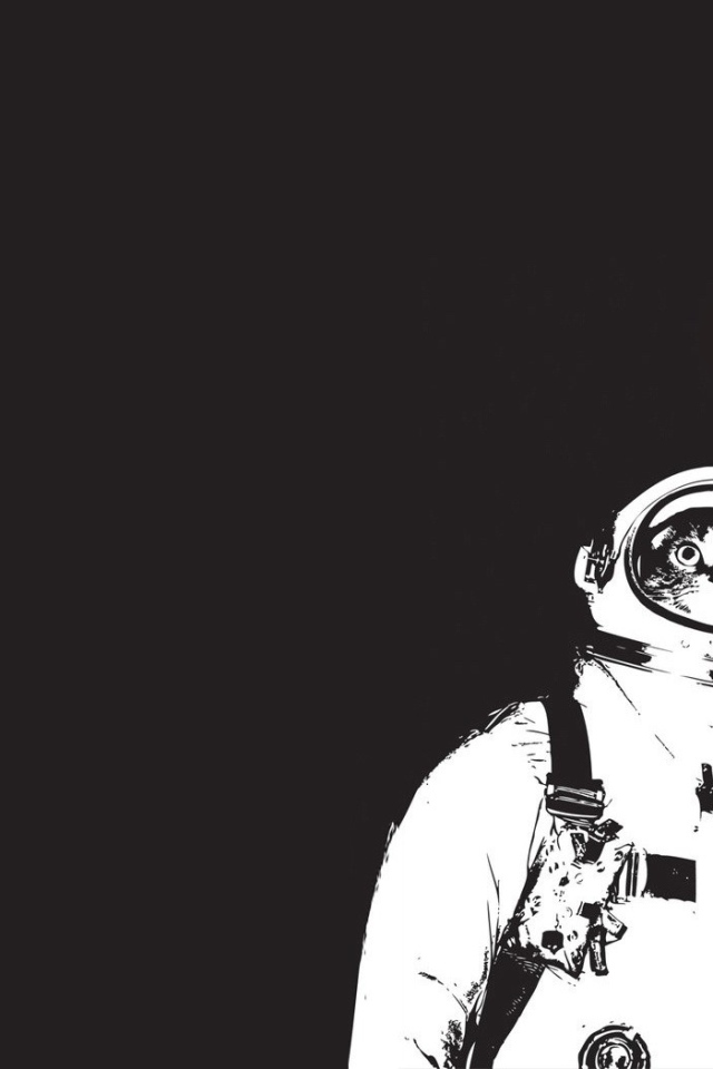 Коты космонавты