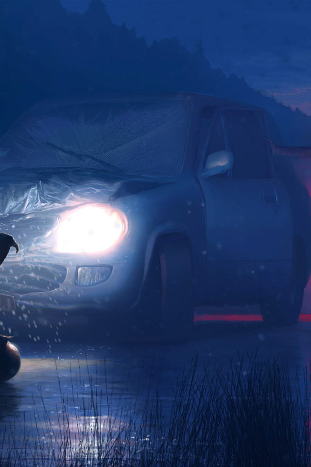 Необычная встреча