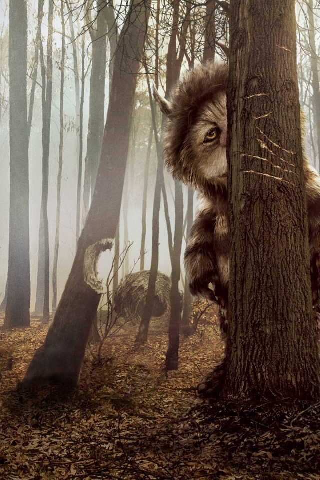 КотоПёс кэжуал