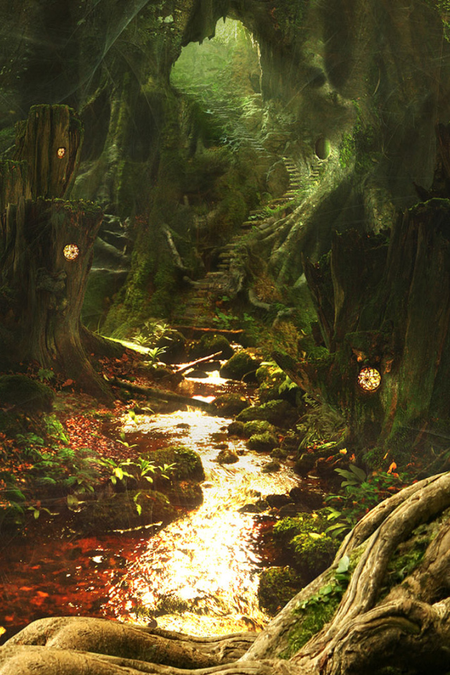 Выход из Леса