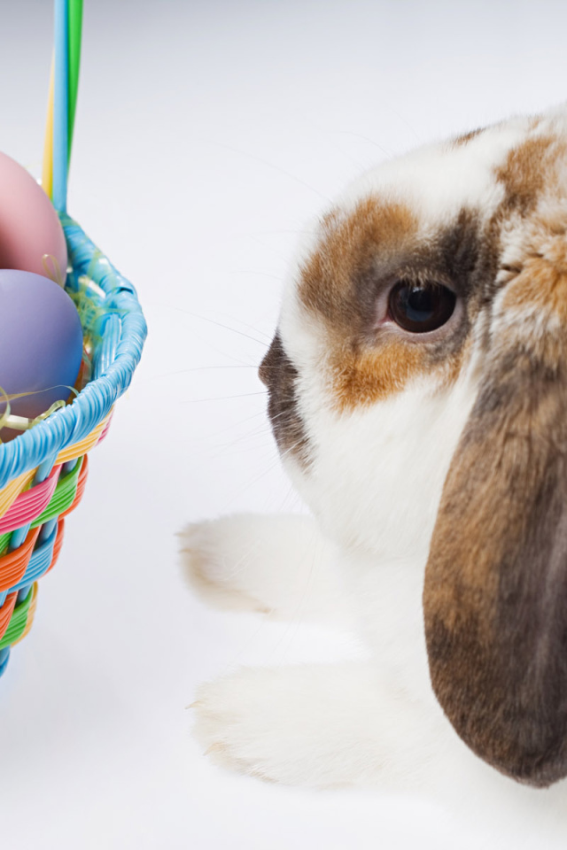 Пасхальный кролик