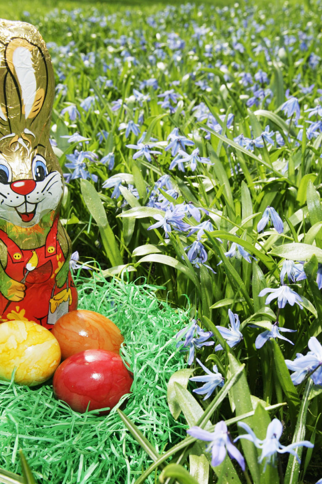 Яйца и Пасхальный заяц