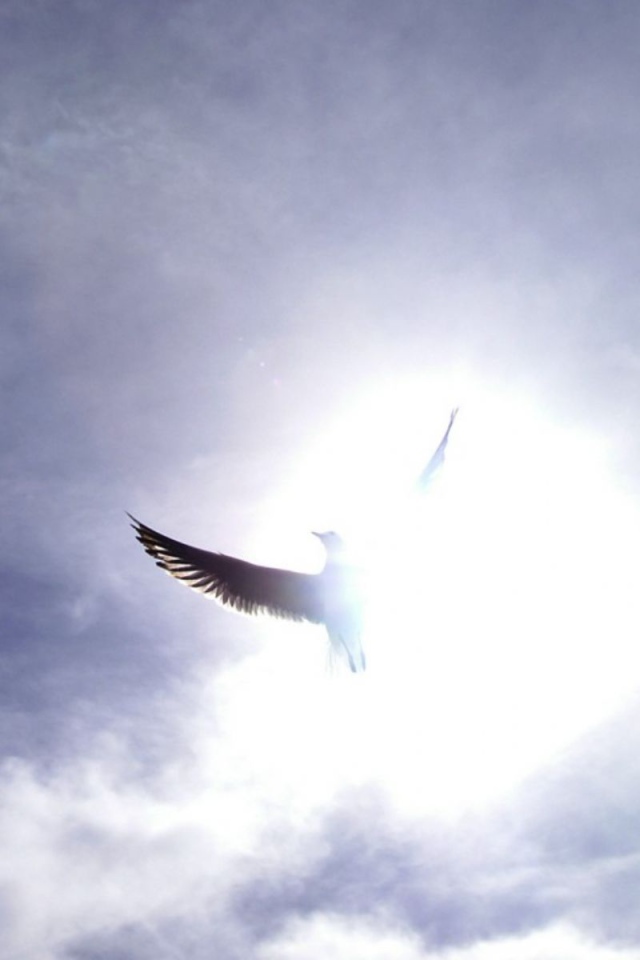 Праздничный день