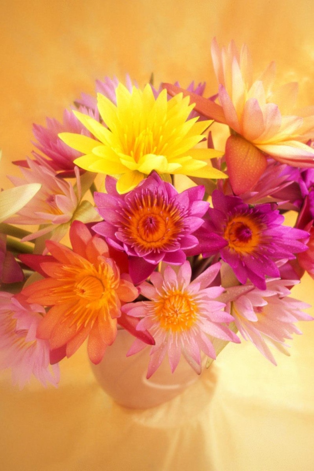 Яркие цветы красивым женщинам на 8 марта