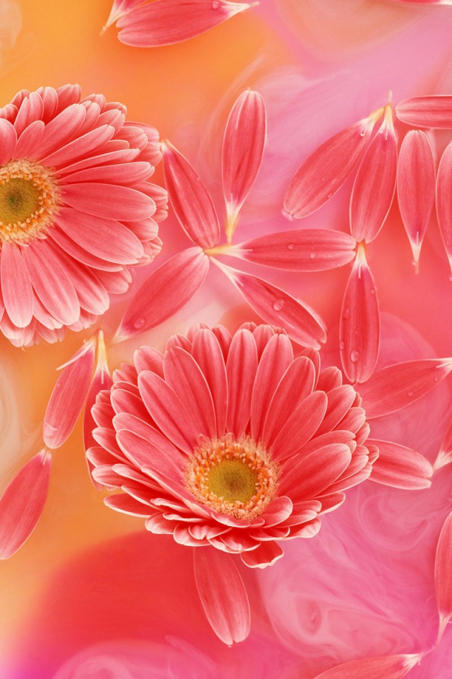 Любимый праздник женщин