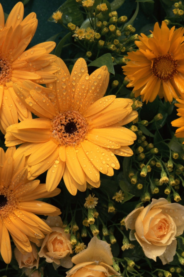 Цветы любимой женщине