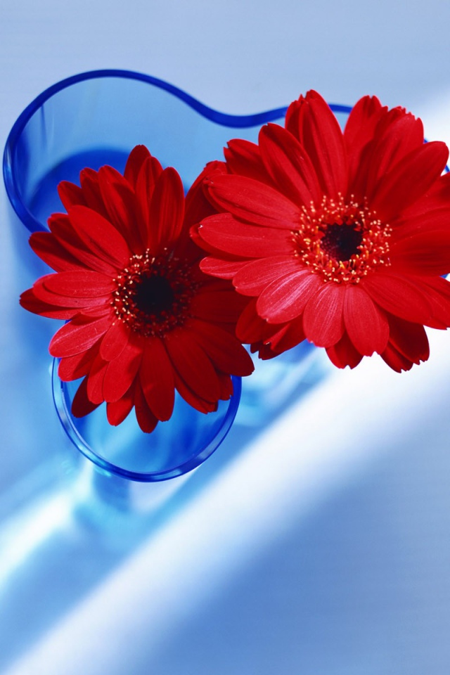 Цветы любимым девушкам на 8 марта