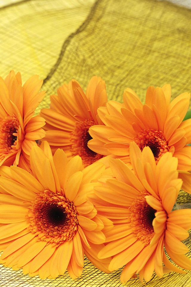 Цветы для самой красивой