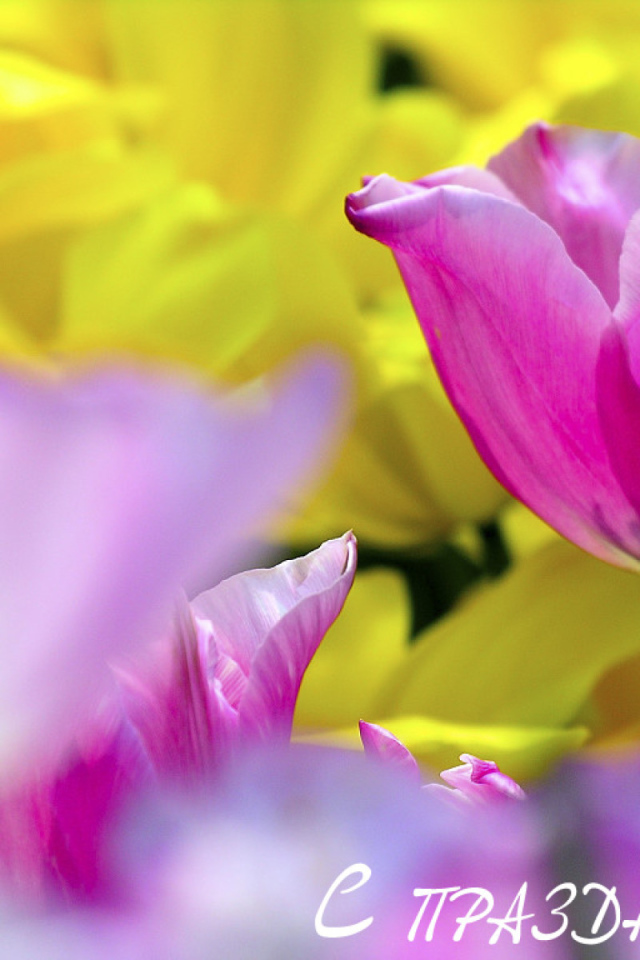 С Женским днем!