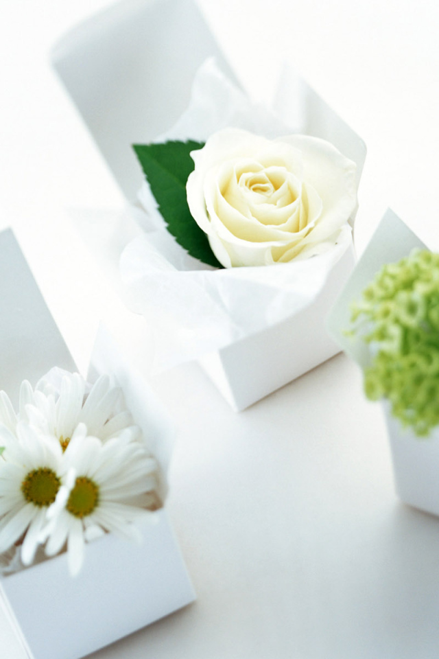 Сюрприз на 8 марта