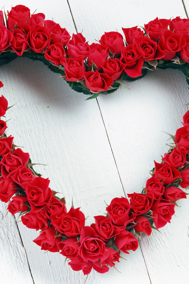 Красивые красные розы День Святого Валентина