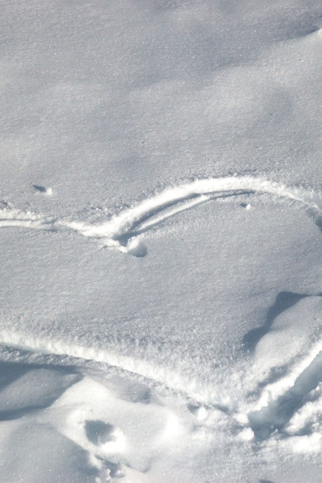 След на снегу