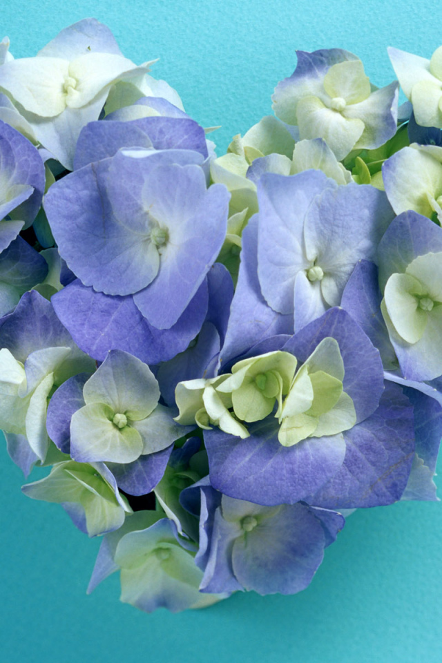 Сердечко из цветов