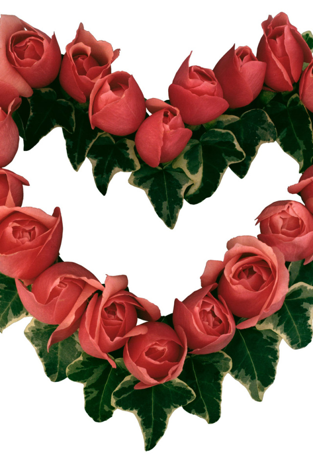 Сердце из роз