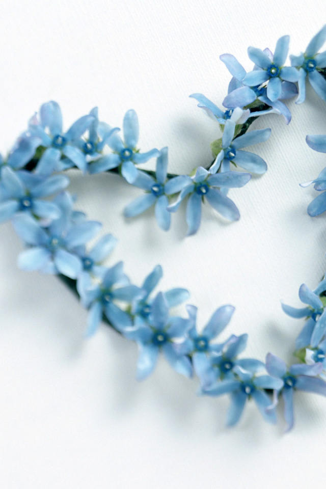 Сердечко из голубых цветов