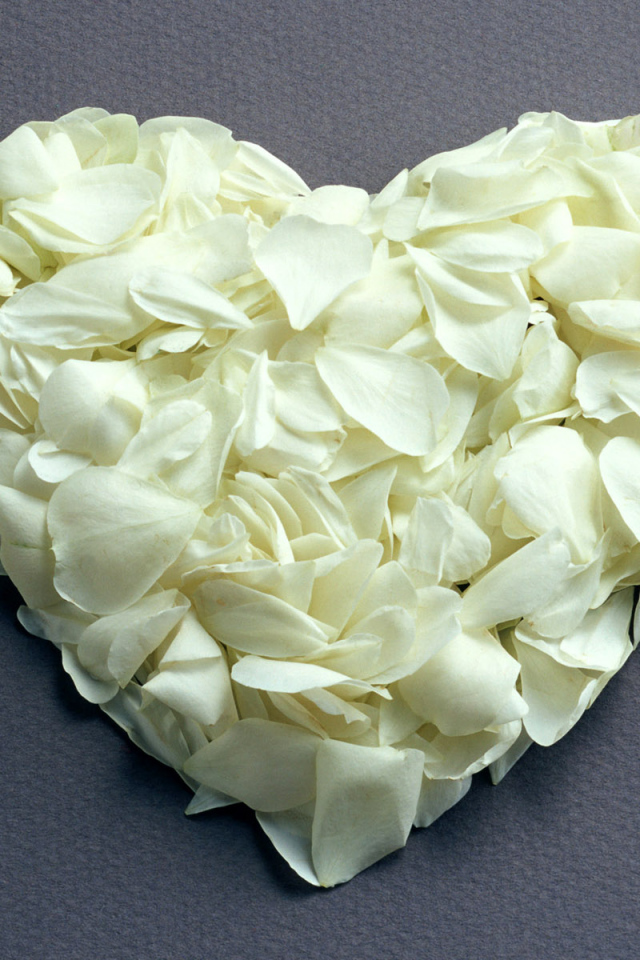 Сердечко из белых лепестков