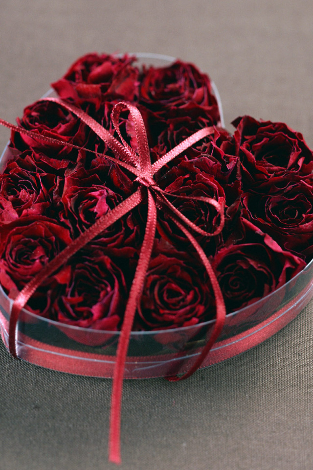Розы на День всех влюбленных