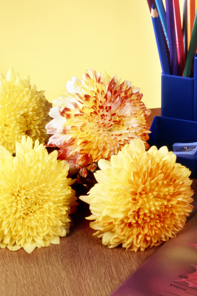 Снова за парту