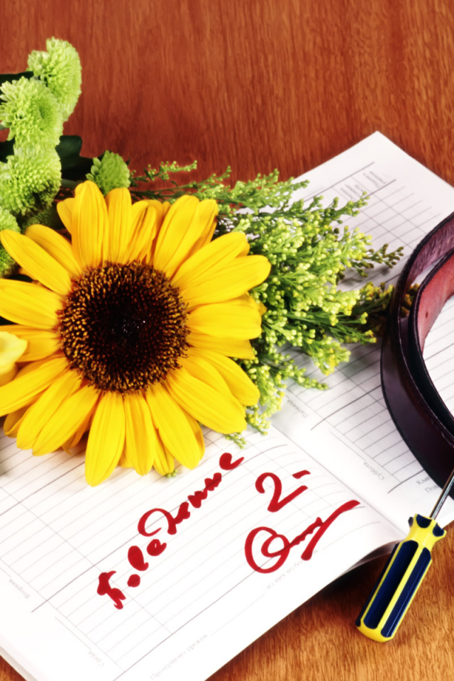 Ремень за двойку