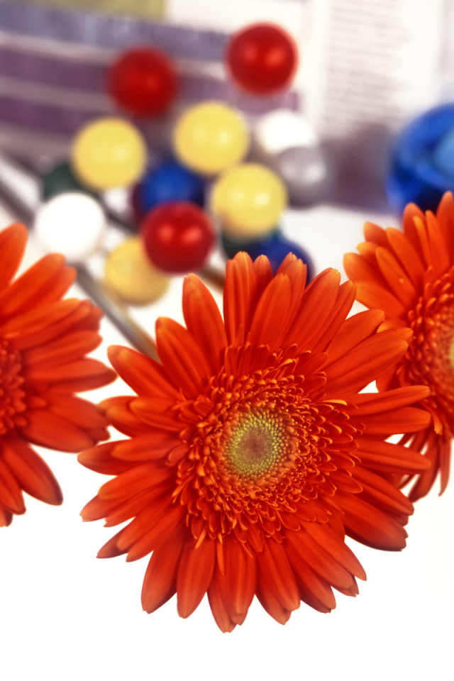 Первый день учебы