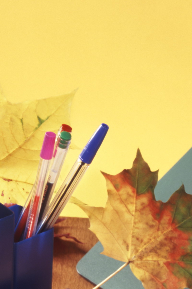 Новый учебный год