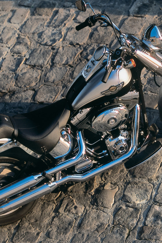 Harley Davidson каменная дорога