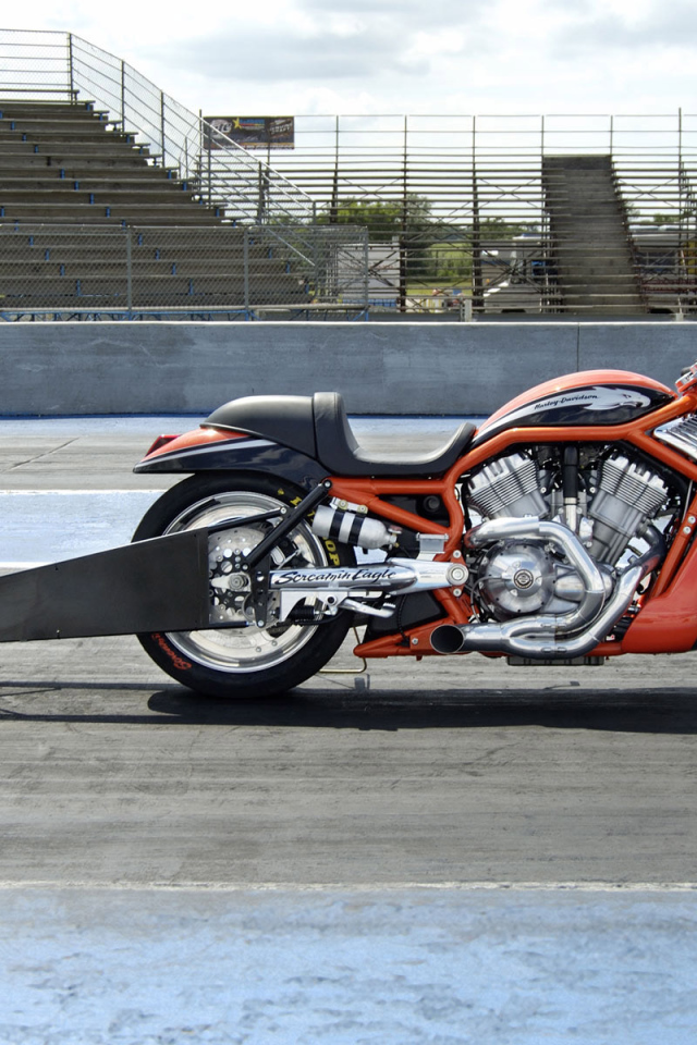 Harley Davidson драгрэйсинг