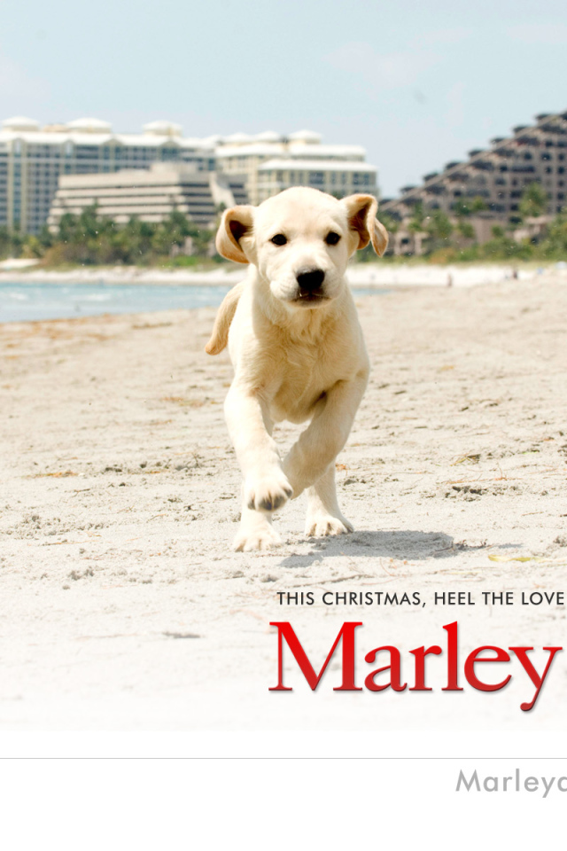 Марли и я / Marley & Me рождественская комедия