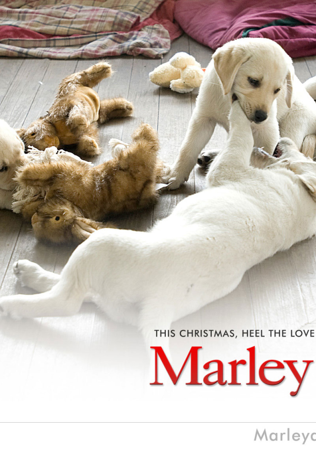 Марли и я / Marley & Me фильм