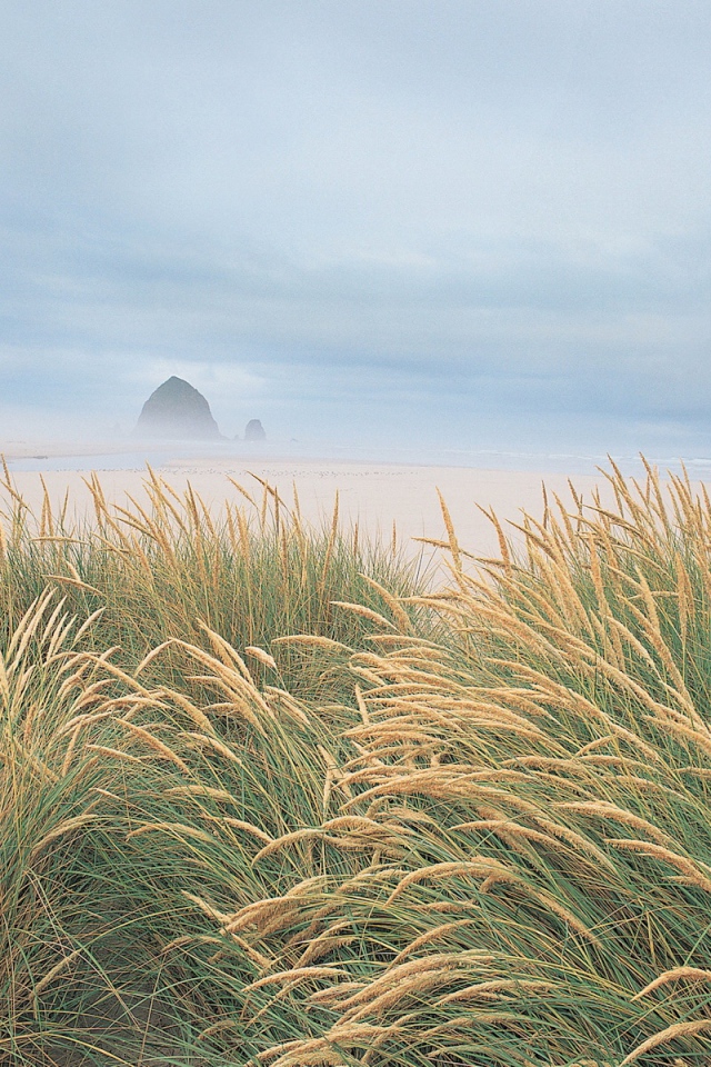 На берегу моря