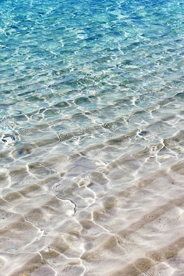 На берегу моря