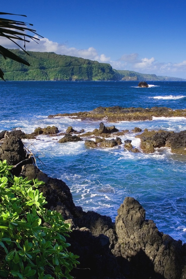 Райский залив