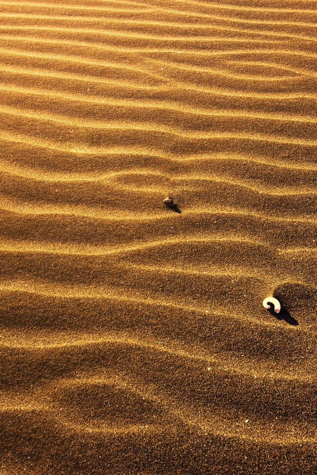 Пляжный песок