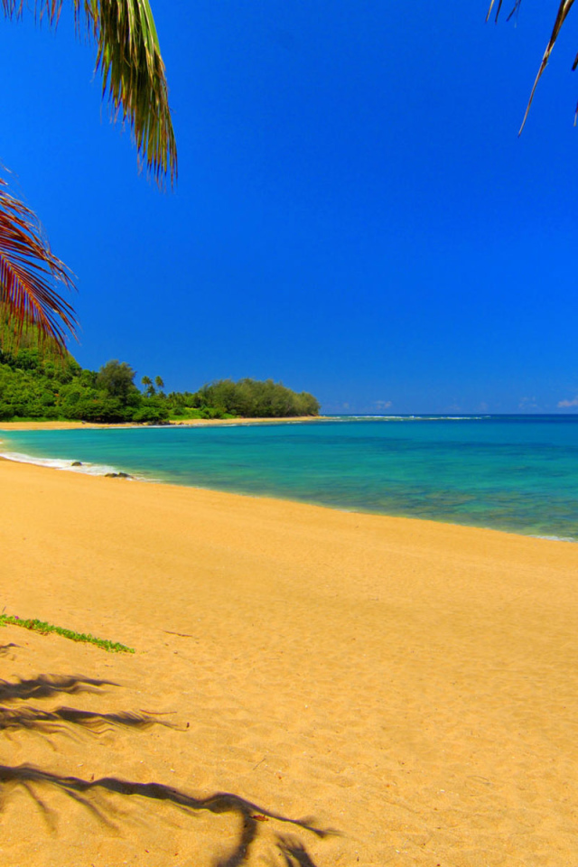 Золотой пляж