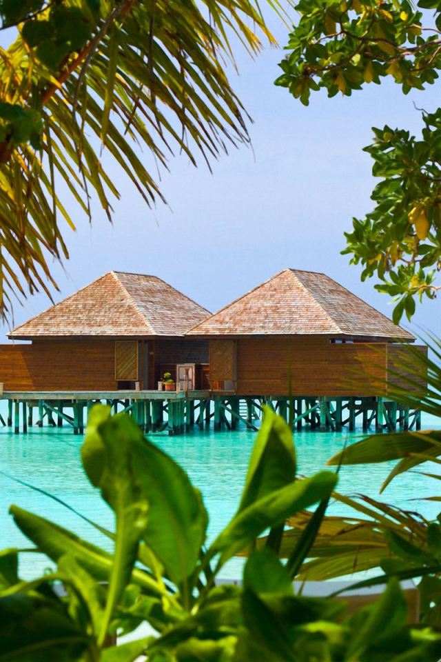 Домики на морском берегу