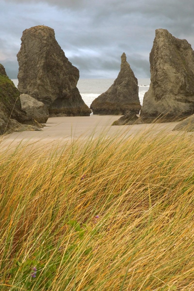 Пребрежные скалы