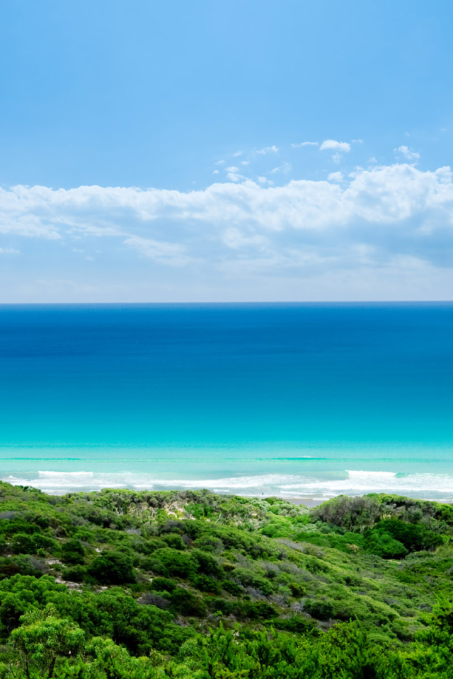 Рай на Земле