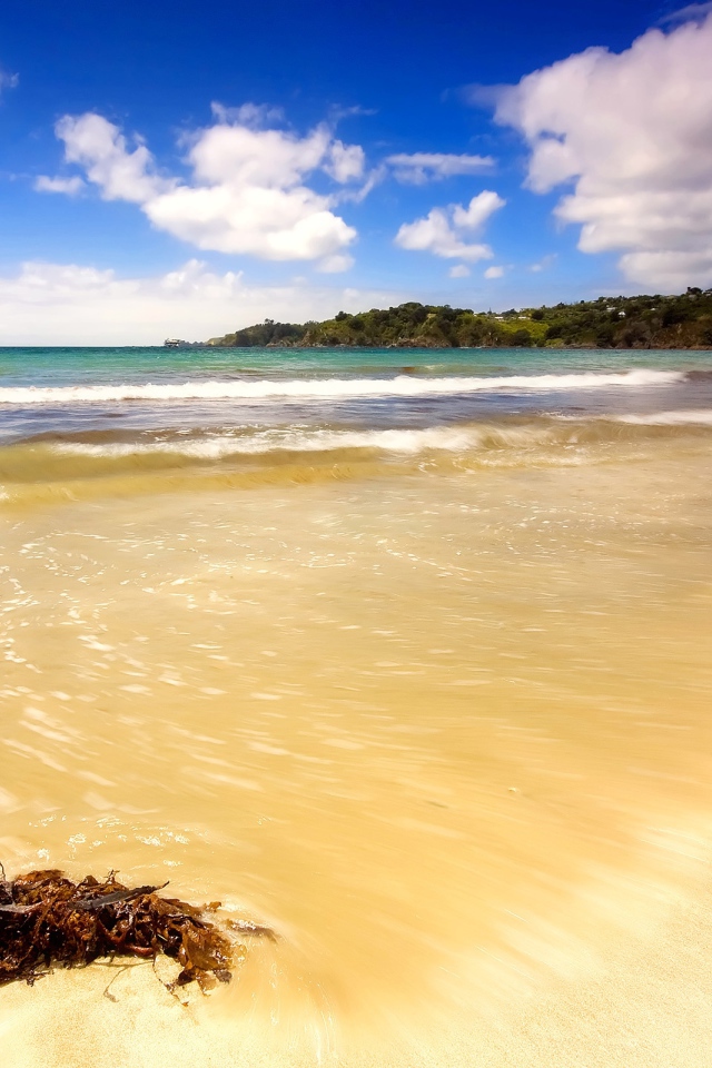 Летний день на пляже