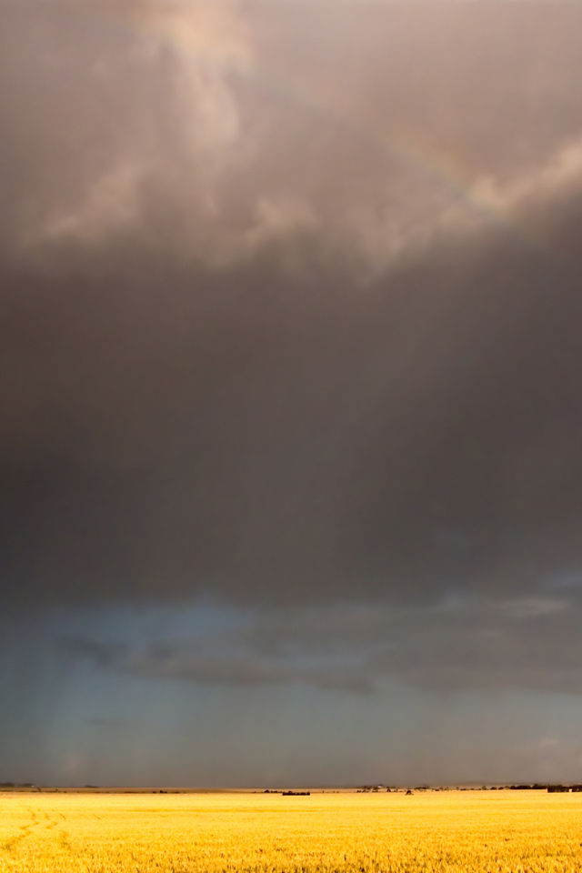 Радуга после дождя