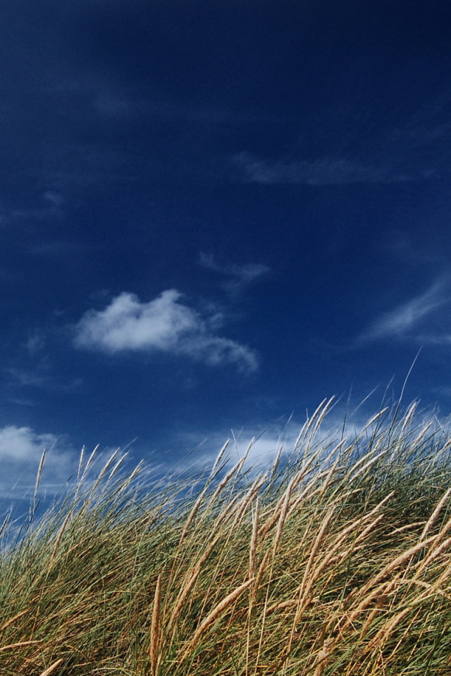 Голубое небо