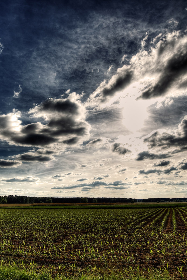 Синее небо HDR