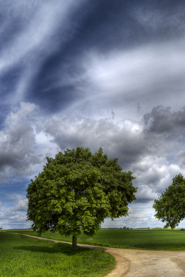 Шикарное небо