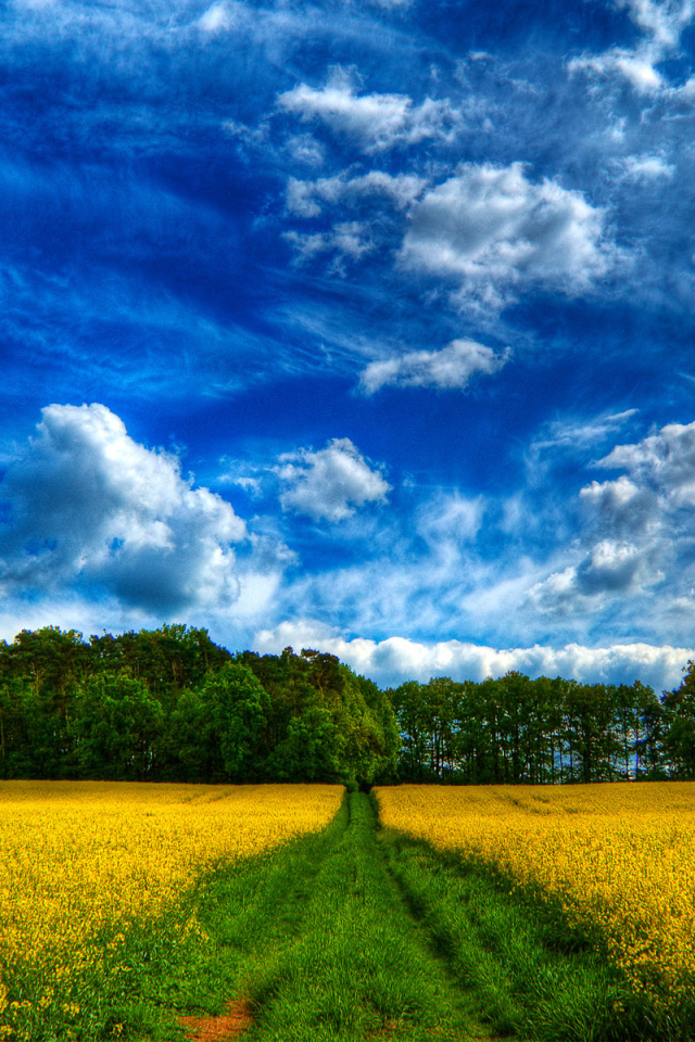 Сказочное небо