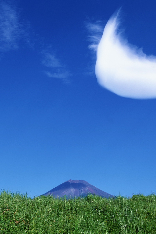 Интересное облако