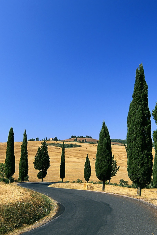 Деревенская дорога