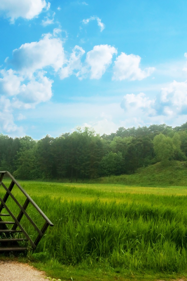 Зеленый мост